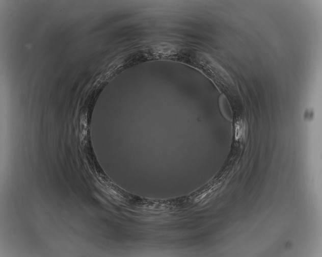 X0000097661011200802291421