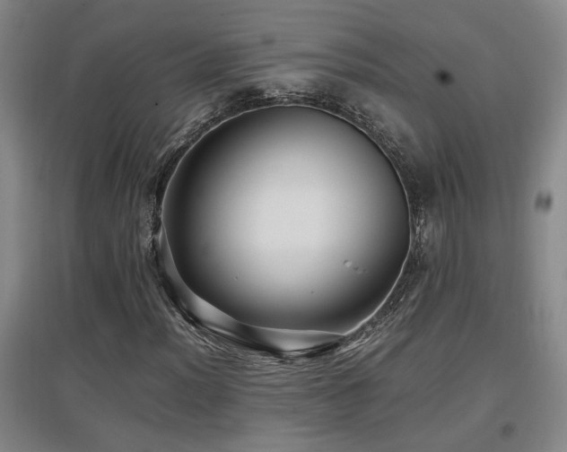 X0000097661012200802291421
