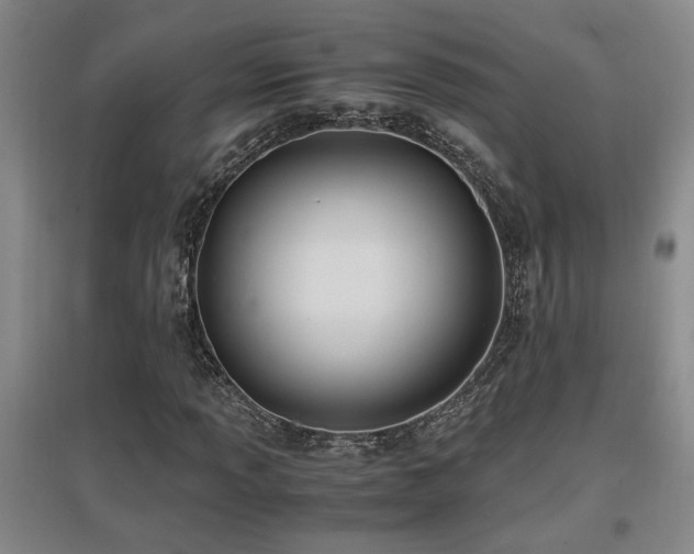 X0000097661013200802291421