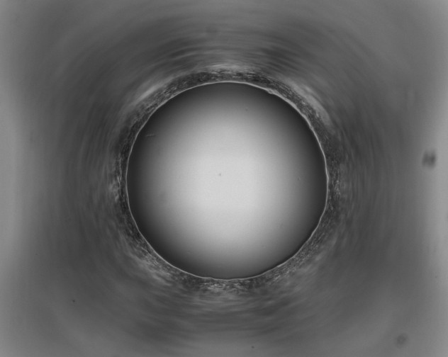 X0000097661015200802291421