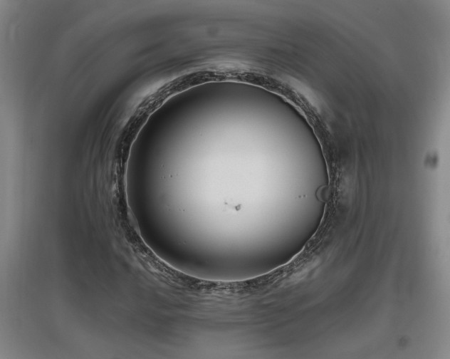 X0000097661016200802291421