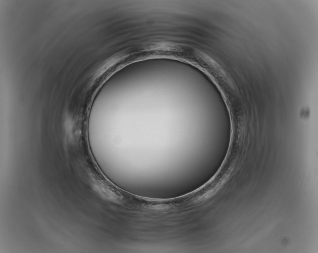 X0000097661017200802291421