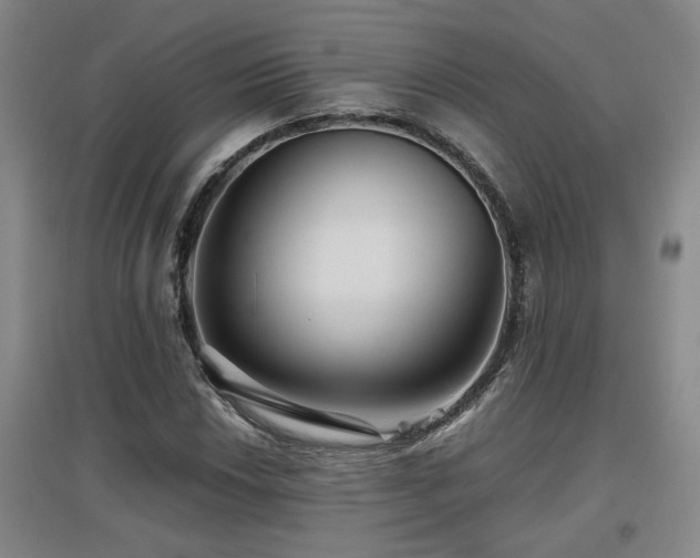 X0000097661018200802291421