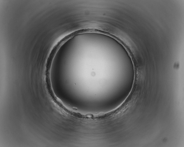 X0000097661020200802291421