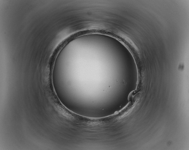 X0000097661021200802291421