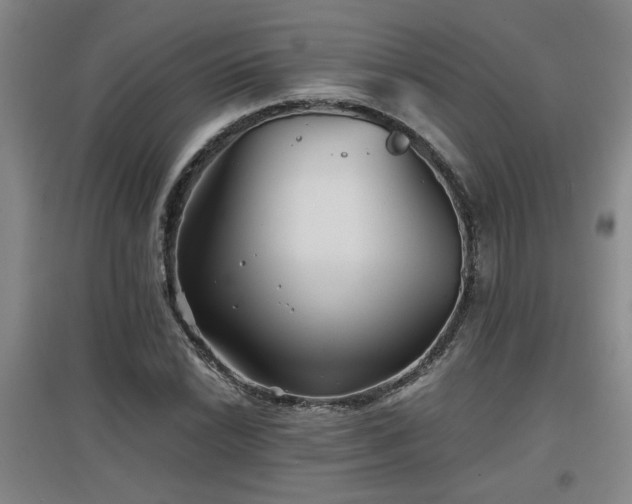 X0000097661022200802291421