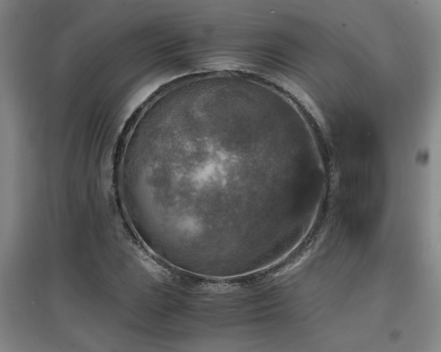 X0000097661023200802291421