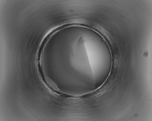 X0000097661024200802291421