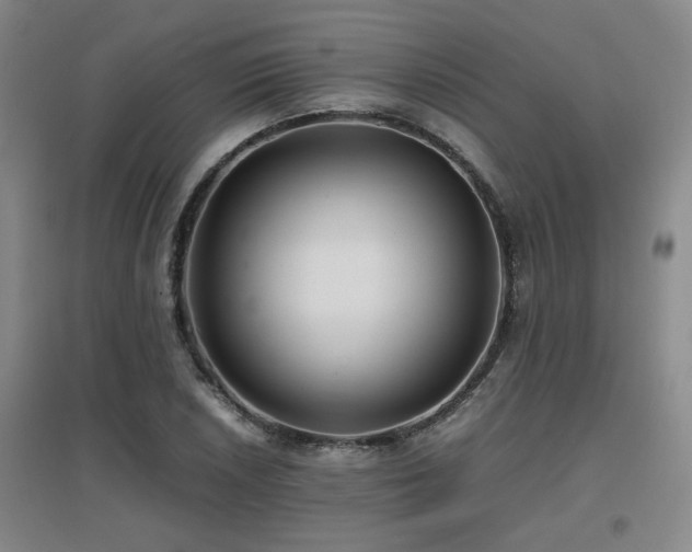 X0000097661026200802291421