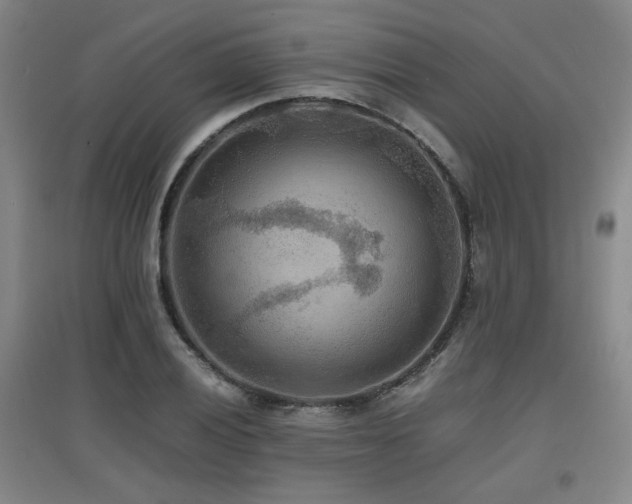 X0000097661028200802291421