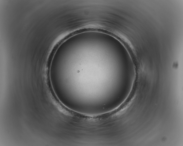 X0000097661029200802291421