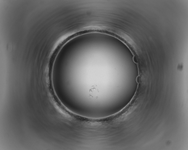 X0000097661030200802291421