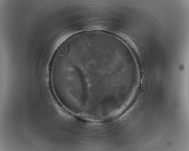 X0000097661031200802291421