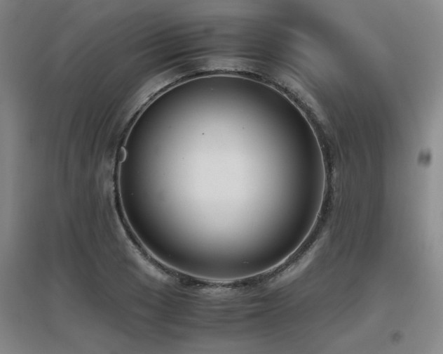 X0000097661033200802291421