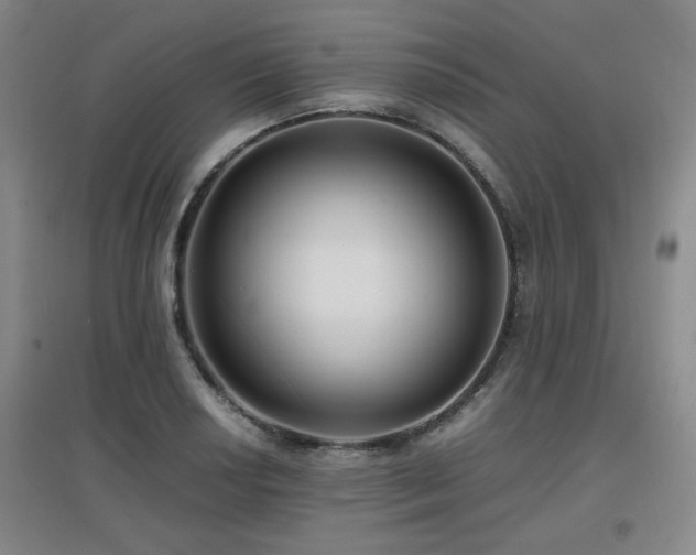 X0000097661034200802291421
