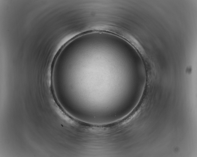 X0000097661036200802291421