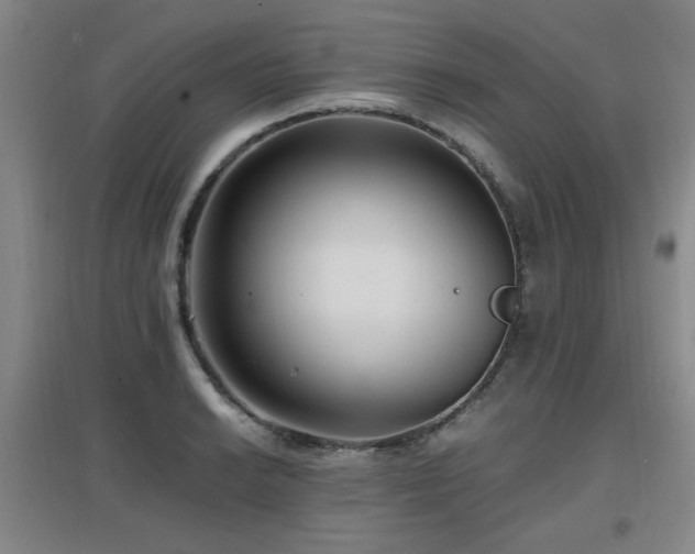 X0000097661038200802291421