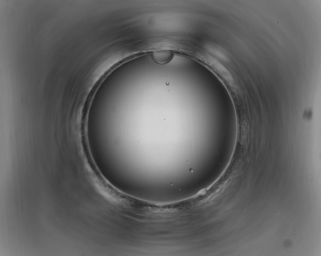 X0000097661039200802291421
