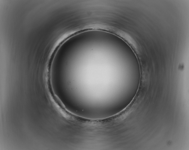 X0000097661040200802291421