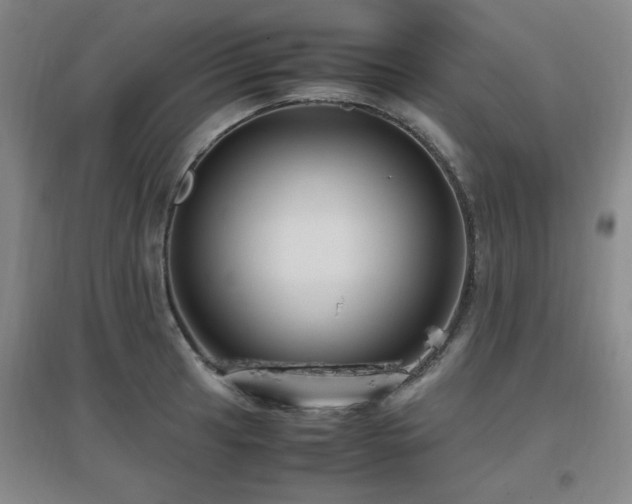 X0000097661041200802291421