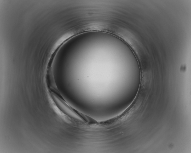 X0000097661042200802291421