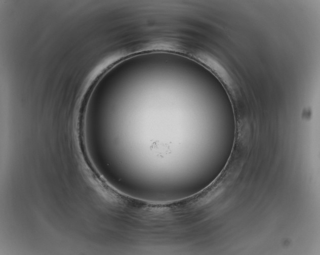 X0000097661043200802291421