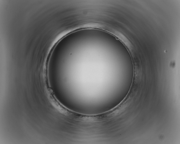 X0000097661044200802291421