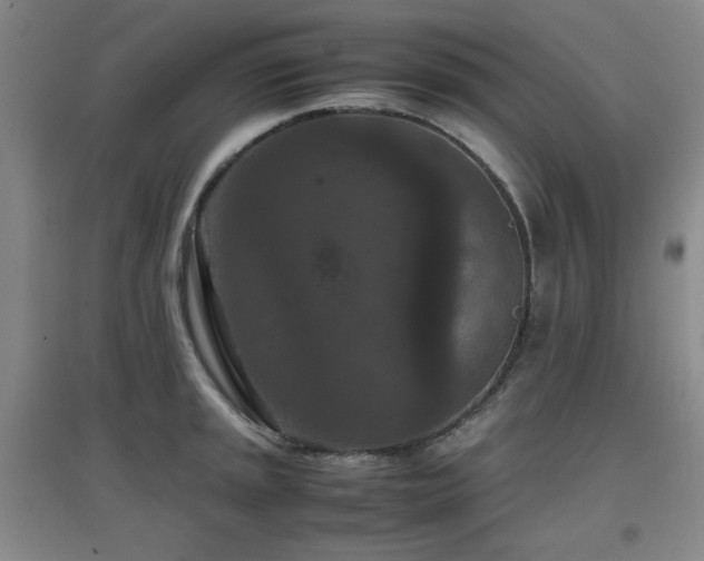 X0000097661045200802291421