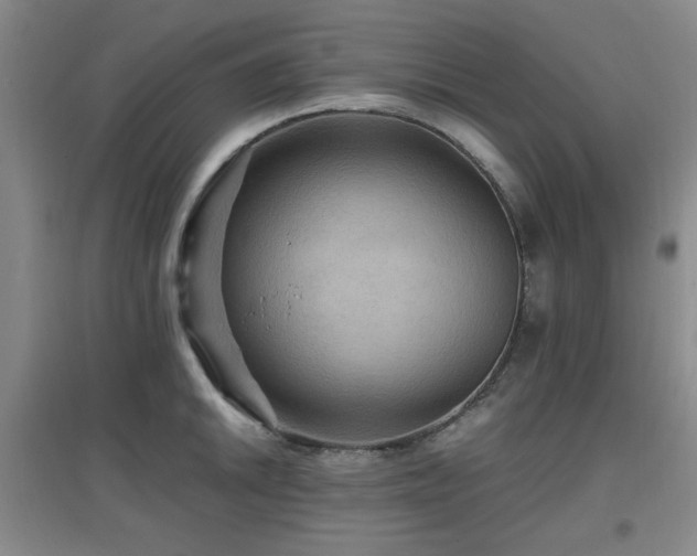 X0000097661046200802291421