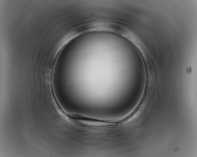 X0000097661049200802291421