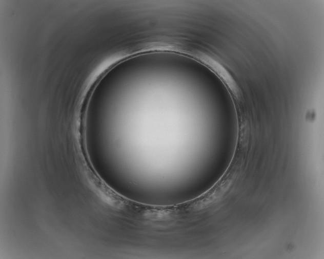 X0000097661051200802291422