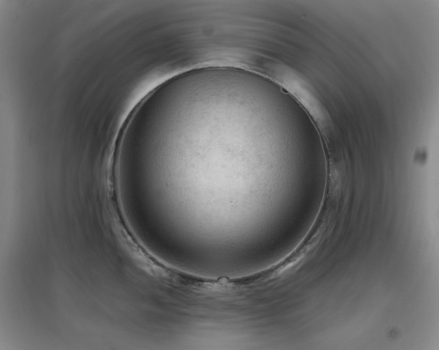 X0000097661052200802291422