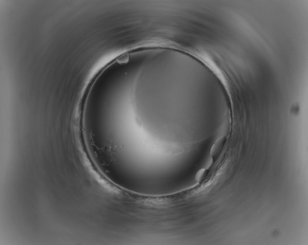 X0000097661053200802291422