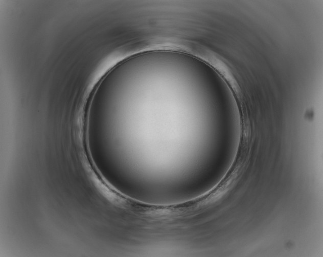X0000097661054200802291422