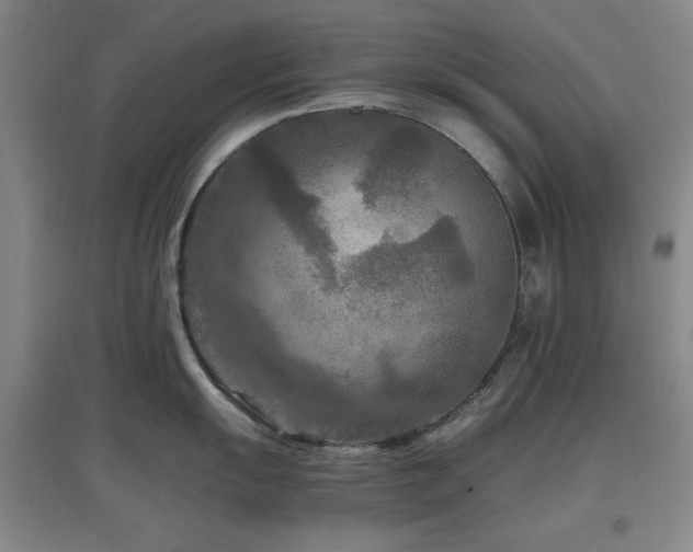 X0000097661055200802291422