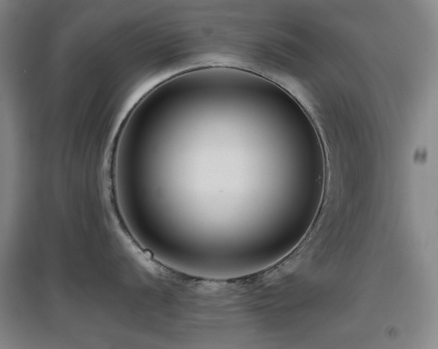 X0000097661056200802291422