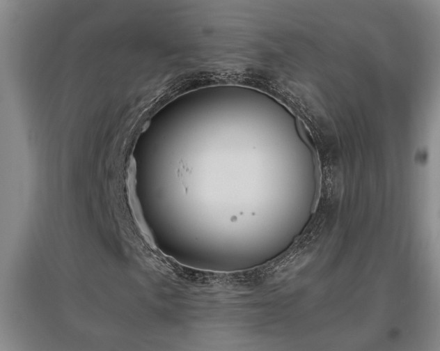 X0000097661057200802291421