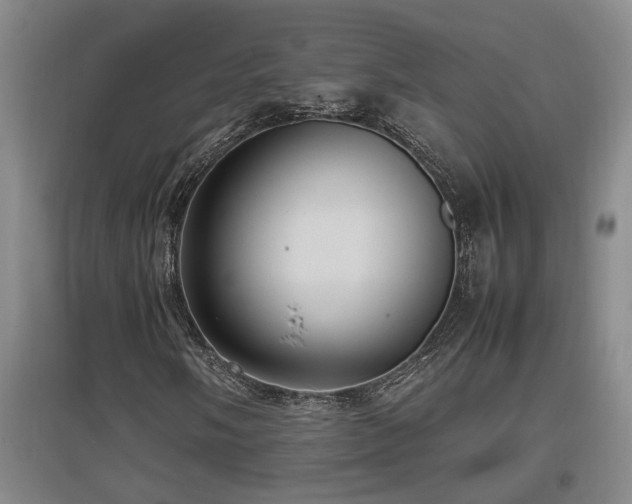 X0000097661058200802291421