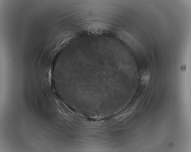 X0000097661060200802291421
