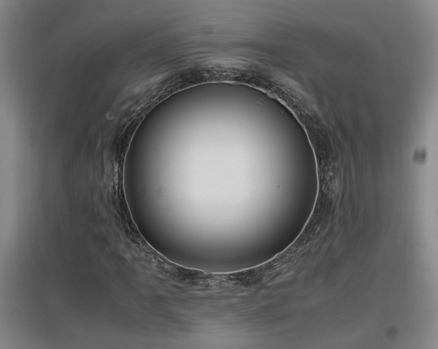 X0000097661061200802291421