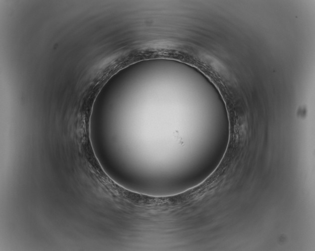 X0000097661062200802291421