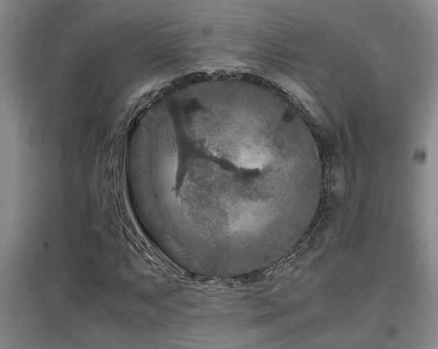 X0000097661063200802291421