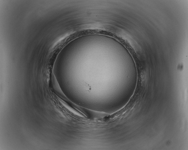 X0000097661064200802291421