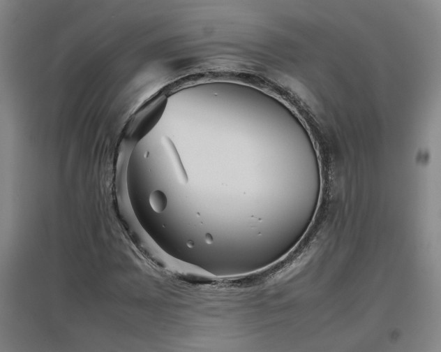X0000097661065200802291421