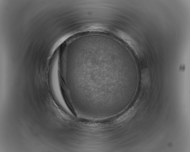 X0000097661066200802291421