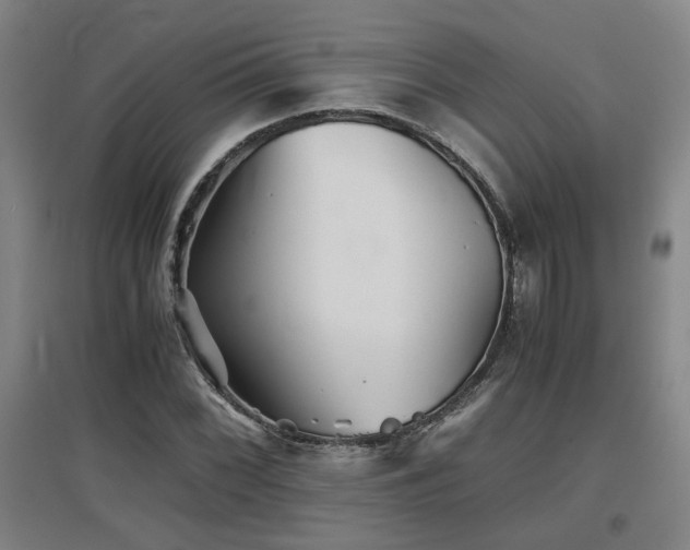 X0000097661068200802291421