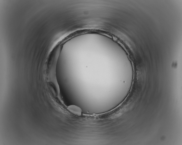 X0000097661069200802291421