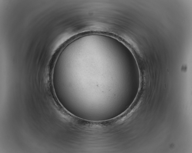 X0000097661070200802291421