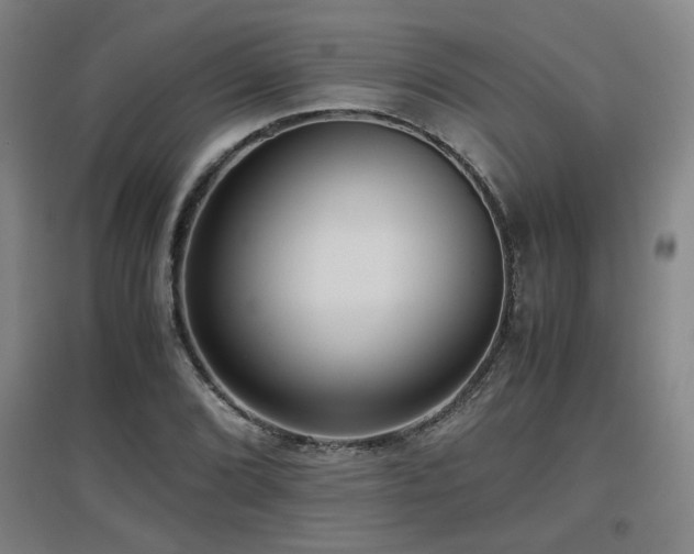 X0000097661072200802291421