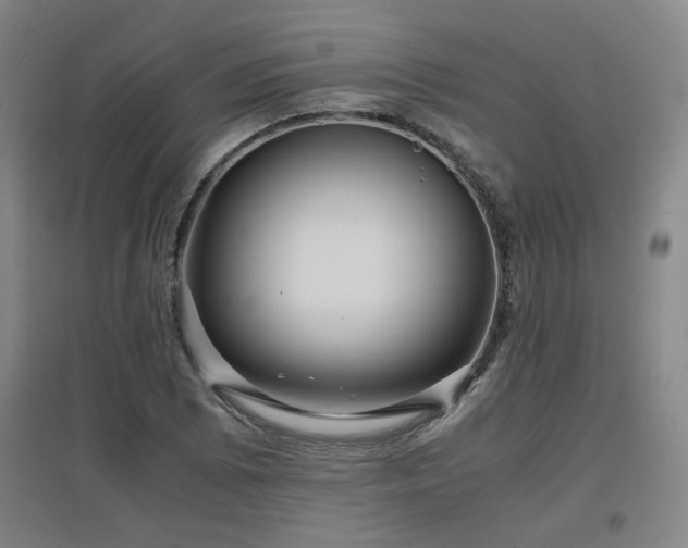 X0000097661073200802291421